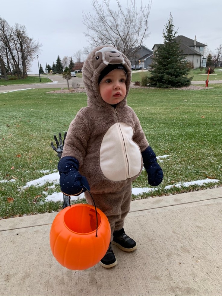 E196455D-8568-4C9D-BE03-535EA442F6E9_1_105_c